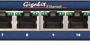 NETGEAR 16-Port Gigabit Ethernet Unmanaged Switch (GS116NA)